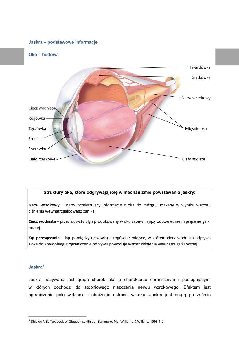 Microsoft Word Viewer - Jaskra - podstawowe informacje o problemie_01